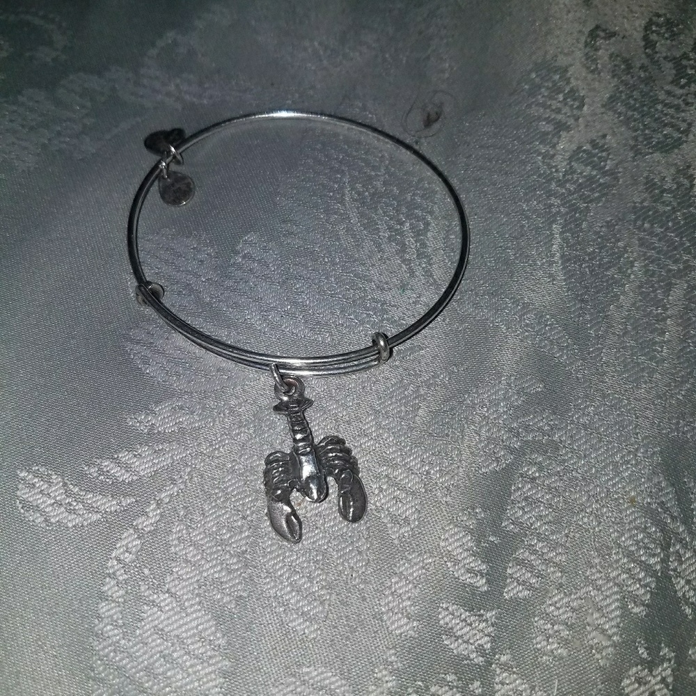 Lobster Alex and Ani braclet